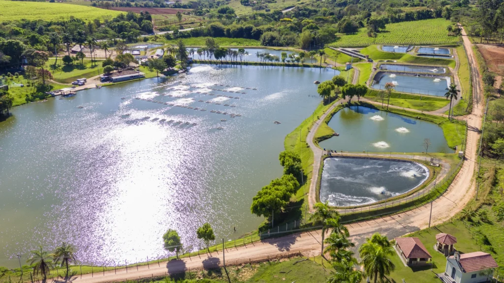 DJI_0857 copiar